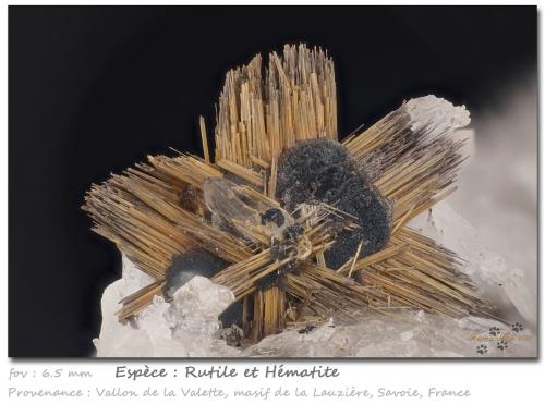 Rutile and Hematite<br /><br />fov 6.5 mm<br /> (Author: ploum)