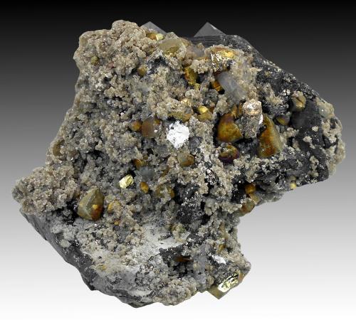 Ferberite, Chalcopyrite, Pyrite, Muscovite<br />Minas da Panasqueira, Aldeia de São Francisco de Assis, Covilhã, Castelo Branco, Cova da Beira, Centro, Portugal<br />14 cm x 10 cm x 10 cm<br /> (Author: silvia)