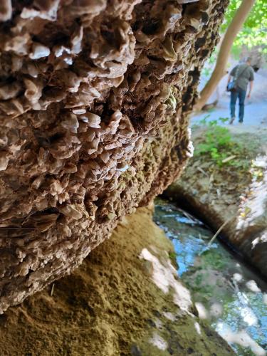 Cristales de yeso junto a la acequia. (Autor: Josele)