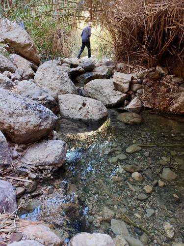 El agua aparece en varias surgencias difusas en la cabecera del valle incluso meses después de las últimas lluvias de la primavera anterior.
Un privilegio teniendo en cuenta que nos encontramos en el desierto de Tabernas, uno de los lugares más secos de España con un promedio de precipitación anual de unos 200 l/m2 (Autor: Josele)