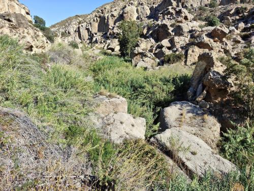 La cabecera del río Aguas es un vergel rodeado de un paisaje seco. (Autor: Josele)