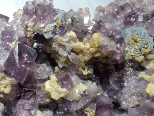 Fluorite, Galena, Calcite<br />Frazer's Hush Mine, Rookhope District, Weardale, North Pennines Orefield, County Durham, England / United Kingdom<br />13,5 x 12 cm<br /> (Author: Sante Celiberti)