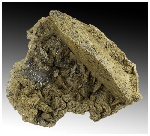 Siderite, Arsenopyrite, Pyrite<br />Minas da Panasqueira, Aldeia de São Francisco de Assis, Covilhã, Castelo Branco, Cova da Beira, Centro, Portugal<br />15 cm x 15 cm x 7 cm<br /> (Author: silvia)