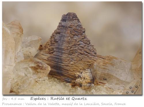 Rutile<br />Vallon de la Valette, La Lauzière Massif, Saint-Jean-de-Maurienne, Savoie, Auvergne-Rhône-Alpes, France<br />fov 4.5 mm<br /> (Author: ploum)