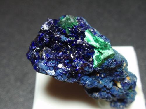 Azurita<br />Seabra, Región Chapada Diamantina, Bahia, Región Nordeste, Brasil<br />30x30 mm<br /> (Autor: Ignacio)