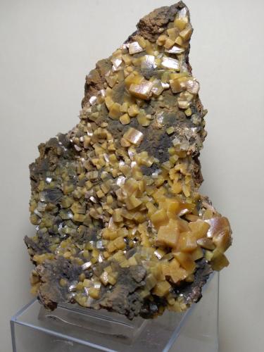 Wulfenite, Mottramite<br />Mina Ojuela, Mapimí, Municipio Mapimí, Durango, México<br />13 x 8 cm<br /> (Author: Sante Celiberti)