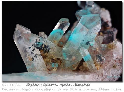 Quartz and Ajoite<br />Messina Mine, Musina (Messina), Vhembe District, Limpopo Province, South Africa<br />fov 41 mm<br /> (Author: ploum)