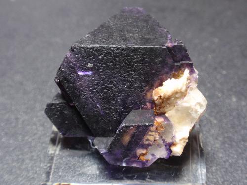 Fluorita<br />Amana, formación Papachacra, granito El Portezuelo, Departamento Belén, Provincia Catamarca, Argentina<br />35x30 mm<br /> (Autor: Ignacio)
