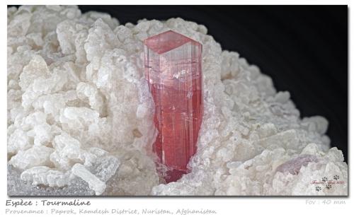 Tourmaline<br /><br />fov 40 mm<br /> (Author: ploum)