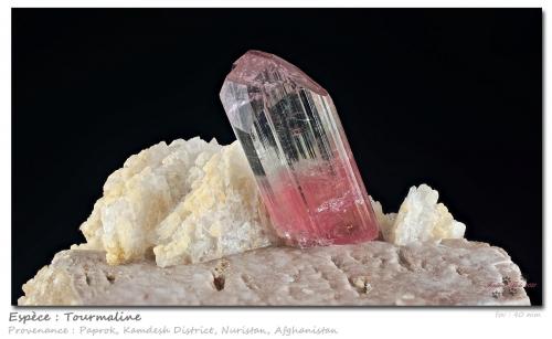 Tourmaline<br />Paprok, Kamdesh District, Nuristan Province, Afghanistan<br />fov 40 mm<br /> (Author: ploum)