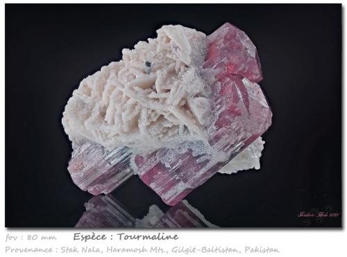 Tourmaline<br />Stak Nala, Montes Haramosh, Distrito Skardu, Gilgit-Baltistan (Áreas del Norte), Paquistán<br />fov 80 mm<br /> (Author: ploum)