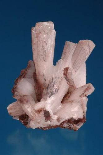 Hemimorphite
Potosi Mine, West camp, Santa Eulalia, Chihuahua, Mexico
11.0 x 8.3 x 8.0 cm (Author: Gail)