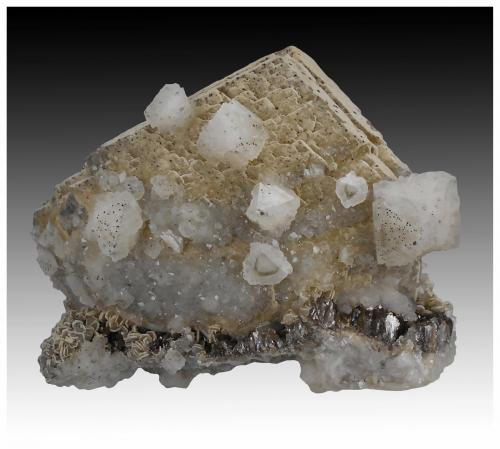 Siderite, Quartz, Dolomite, Muscovite, Pyrite<br />Minas da Panasqueira, Aldeia de São Francisco de Assis, Covilhã, Castelo Branco, Cova da Beira, Centro, Portugal<br />11 cm x 8 cm x 7 cm<br /> (Author: silvia)