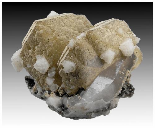 Siderite, Quartz, Dolomite, Muscovite, Pyrite<br />Minas da Panasqueira, Aldeia de São Francisco de Assis, Covilhã, Castelo Branco, Cova da Beira, Centro, Portugal<br />11 cm x 8 cm x 7 cm<br /> (Author: silvia)