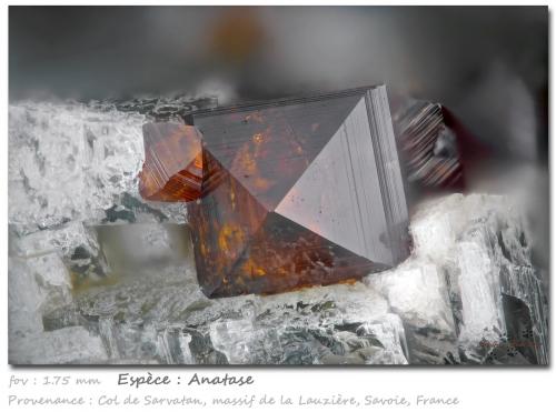 Anatase<br />Rocher de Sarvatan, Macizo La Lauzière, Saint-Jean-de-Maurienne, Saboya, Auvergne-Rhône-Alpes, Francia<br />fov 1.75 mm<br /> (Author: ploum)