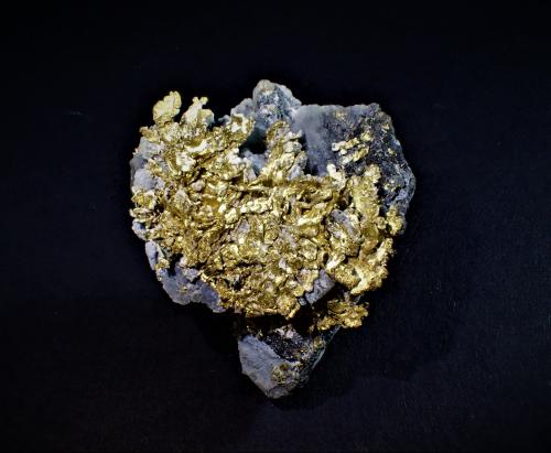 Gold (variety leafy gold), Quartz (variety chalcedony)<br />Potosí claim, La Tosca cut, Municipio Vetas, Soto Province, Santander Department, Colombia<br />29 mm x 31 mm x 26 mm<br /> (Author: Don Lum)