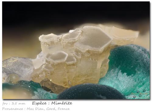 Mimetite and Malachite<br />Mas Dieu, Mercoirol, Alès, Gard, Occitanie, Francia<br />fov 3.5 mm<br /> (Author: ploum)