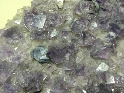 Fluorite, Galena<br />Frazer's Hush Mine, Rookhope District, Weardale, North Pennines Orefield, County Durham, England / United Kingdom<br />20,5 x 10,5 cm<br /> (Author: Sante Celiberti)