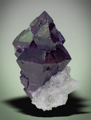 Description: Scheelite, ( Purple DT ) on Quartz
Yaogangxian Mine, Chenzhou, Yizhang Co., Hunan, China.
6.3 x 9.8 x 7.3 cm
Stuart Wilensky photo (Author: Gail)