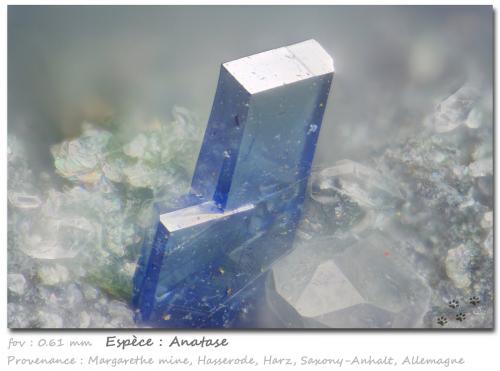 Anatase and Quartz<br />Mina Margarethe, Valle Dränge, Hasserode, Wernigerode, Harz, Sajonia-Anhalt/Sachsen-Anhalt, Alemania<br />fov 0.61 mm<br /> (Author: ploum)