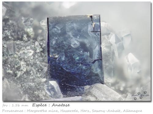 Anatase and Quartz<br />Mina Margarethe, Valle Dränge, Hasserode, Wernigerode, Harz, Sajonia-Anhalt/Sachsen-Anhalt, Alemania<br />fov 1.56 mm<br /> (Author: ploum)
