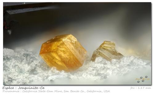 Joaquinite-(Ce)<br />California State Gem Mine (Benitoite Gem Mine), San Benito River headwaters area, Santa Rita Peak, New Idria District, San Benito County, California, USA<br />fov 1.17 mm<br /> (Author: ploum)