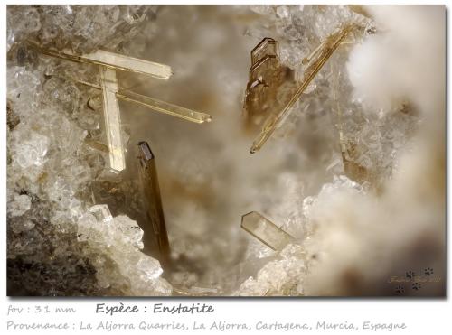 Enstatite<br />De la Aljorra Quarries, Cerro de la Cabezuela (de la Aljorra Volcano), La Aljorra, Cartagena, Comarca Campo de Cartagena, Region of Murcia (Murcia), Spain<br />fov 3.1 mm<br /> (Author: ploum)