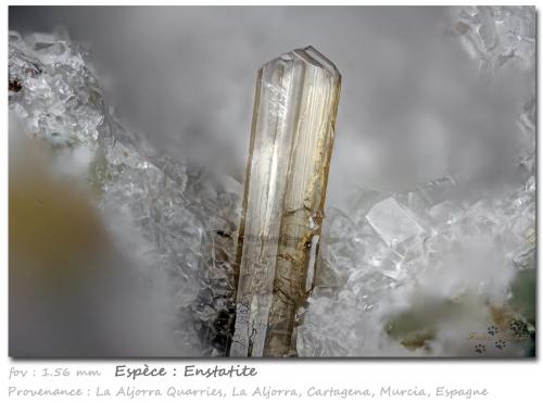 Enstatite<br />De la Aljorra Quarries, Cerro de la Cabezuela (de la Aljorra Volcano), La Aljorra, Cartagena, Comarca Campo de Cartagena, Region of Murcia (Murcia), Spain<br />fov 1.56 mm<br /> (Author: ploum)