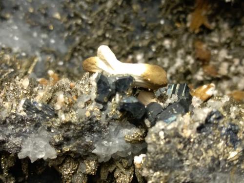 Bournonite, Marcasite, Calcite, Quartz<br />Herja Mine, Chiuzbaia, Baia Sprie, Maramures, Romania<br />14 x 12 cm<br /> (Author: Sante Celiberti)