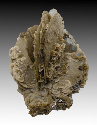 Siderite, Fluorapatite, Quartz, Arsenopyrite, Pyrite<br />Minas da Panasqueira, Aldeia de São Francisco de Assis, Covilhã, Castelo Branco, Cova da Beira, Centro, Portugal<br />14 cm x 11 cm x 8 cm<br /> (Author: silvia)