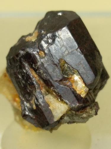 Rutilo<br />Oropa, Provincia Biella, Piamonte (Piemonte), Italia<br />25 x 24 mm<br /> (Autor: Sante Celiberti)