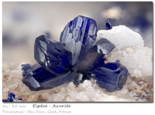 Azurite<br />Mas Dieu, Mercoirol, Alès, Gard, Occitanie, France<br />fov 3.1 mm<br /> (Author: ploum)