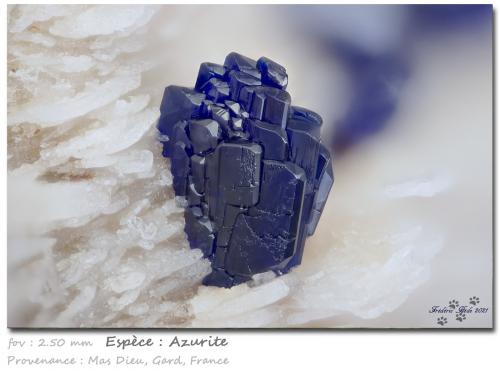 Azurite<br />Mas Dieu, Mercoirol, Alès, Gard, Occitanie, France<br />fov 2.5 mm<br /> (Author: ploum)