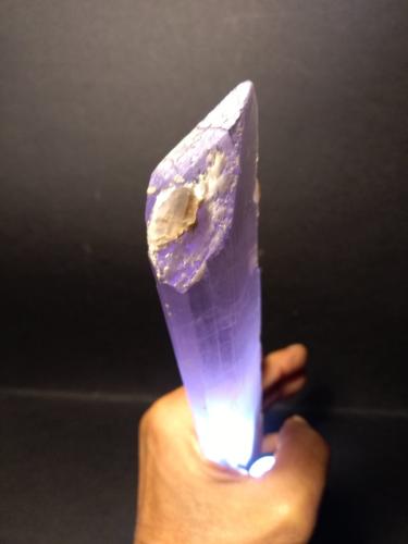 Spodumene (variety kunzite), Quartz (variety smoky), Albite<br />Dara-I-Pech District (Pech District), Kunar Province (Konar), Afghanistan<br />25,5 x 3,5 cm<br /> (Author: Sante Celiberti)