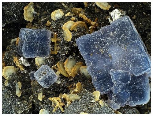 Fluorite, Fluorapatite, Siderite, Muscovite and Pyrite<br />Minas da Panasqueira, Aldeia de São Francisco de Assis, Covilhã, Castelo Branco, Cova da Beira, Centro, Portugal<br />9 cm x 8 cm x 6 cm<br /> (Author: silvia)