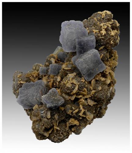 Fluorite, Fluorapatite, Siderite, Muscovite and Pyrite<br />Minas da Panasqueira, Aldeia de São Francisco de Assis, Covilhã, Castelo Branco, Cova da Beira, Centro, Portugal<br />9 cm x 8 cm x 6 cm<br /> (Author: silvia)