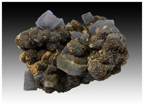 Fluorite, Fluorapatite, Siderite, Muscovite and Pyrite<br />Minas da Panasqueira, Aldeia de São Francisco de Assis, Covilhã, Castelo Branco, Cova da Beira, Centro, Portugal<br />9 cm x 8 cm x 6 cm<br /> (Author: silvia)