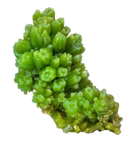 Pyromorphite<br />Daoping Mine, Gongcheng, Guilin Prefecture, Guangxi Zhuang Autonomous Region, China<br />Specimen size 3 cm<br /> (Author: Tobi)