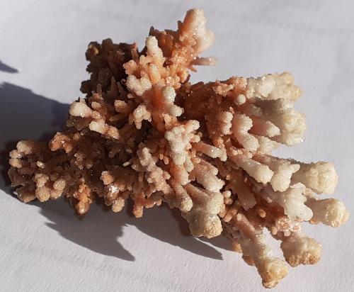 Calcite on Aragonite<br />Lavrion Mining District, Attikí (Attica) Prefecture, Greece<br />9 x 7 cm<br /> (Author: Volkmar Stingl)