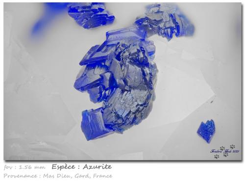 Azurite<br />Mas Dieu, Mercoirol, Alès, Gard, Occitanie, France<br />fov 1.56 mm<br /> (Author: ploum)