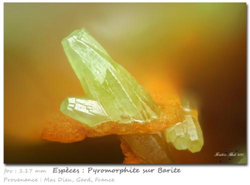 Pyromorphite<br />Mas Dieu, Mercoirol, Alès, Gard, Occitanie, France<br />fov 1.17 mm<br /> (Author: ploum)