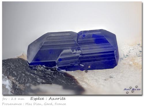 Azurite<br />Mas Dieu, Mercoirol, Alès, Gard, Occitanie, France<br />fov 2.8 mm<br /> (Author: ploum)