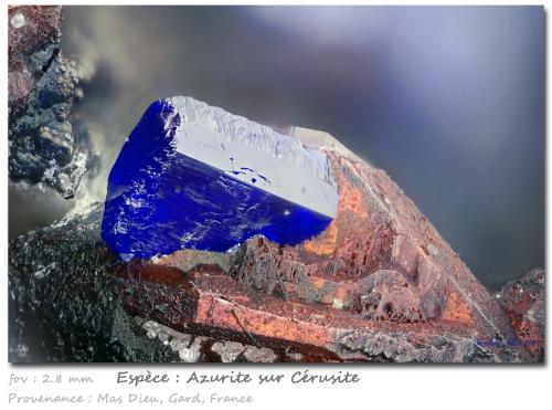 Azurite on Cerusite<br />Mas Dieu, Mercoirol, Alès, Gard, Occitanie, France<br />fov 2.8 mm<br /> (Author: ploum)