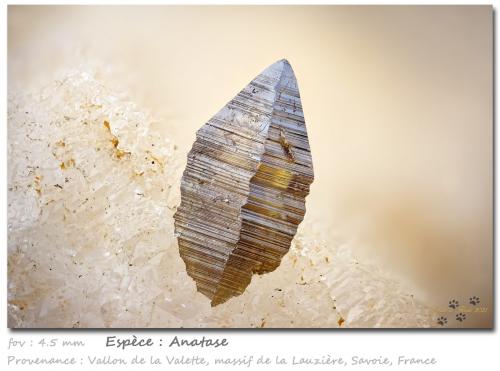 Anatase<br />Vallon de la Valette, Macizo La Lauzière, Saint-Jean-de-Maurienne, Saboya, Auvergne-Rhône-Alpes, Francia<br />fov 4.5 mm<br /> (Author: ploum)
