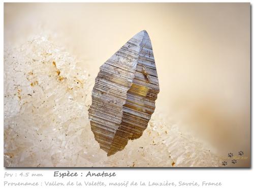 Anatase<br />Vallon de la Valette, La Lauzière Massif, Saint-Jean-de-Maurienne, Savoie, Auvergne-Rhône-Alpes, France<br />fov 4.5 mm<br /> (Author: ploum)