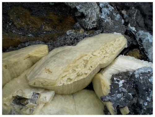 Siderite, Sphalerite, Chalcopyrite, Dolomite<br />Minas da Panasqueira, Aldeia de São Francisco de Assis, Covilhã, Castelo Branco, Cova da Beira, Centro, Portugal<br />12 cm x 10 cm x 5 cm<br /> (Author: silvia)