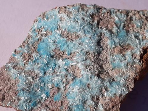 Aurichalcite<br />Mina Ojuela, Mapimí, Municipio Mapimí, Durango, México<br />3 x 3 cm<br /> (Author: Volkmar Stingl)