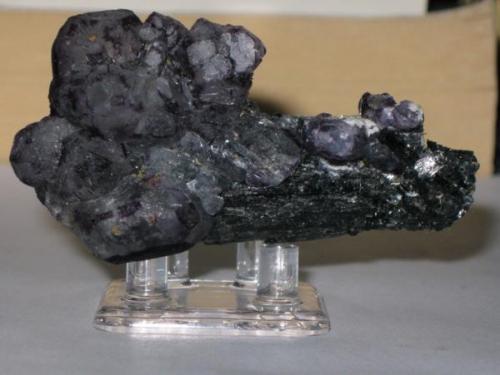 Fluorite on schorl.jpg (Author: Tracy)