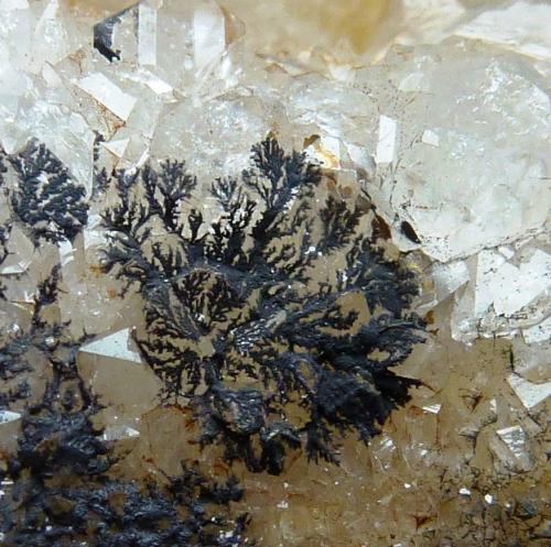 óxidos de manganeso, Cuarzo<br />Congostrina, Comarca Sierra Norte de Guadalajara, Guadalajara, Castilla-La Mancha, Spain<br />Encuadre 1,5 x 1,5 cm.<br /> (Autor: javier ruiz martin)