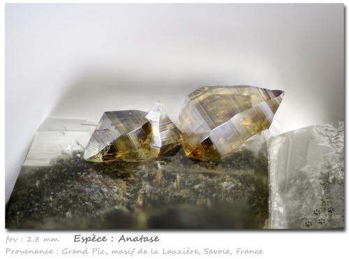 Anatase<br />Grand Pic de la Lauzière, La Lauzière Massif, Saint-Jean-de-Maurienne, Savoie, Auvergne-Rhône-Alpes, France<br />fov 2.8 mm<br /> (Author: ploum)